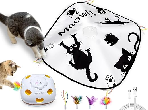 Jouet Interactif 4 en 1 pour Chats