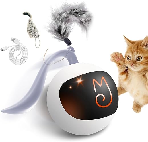 Balle automatique avec accessoires pour chats