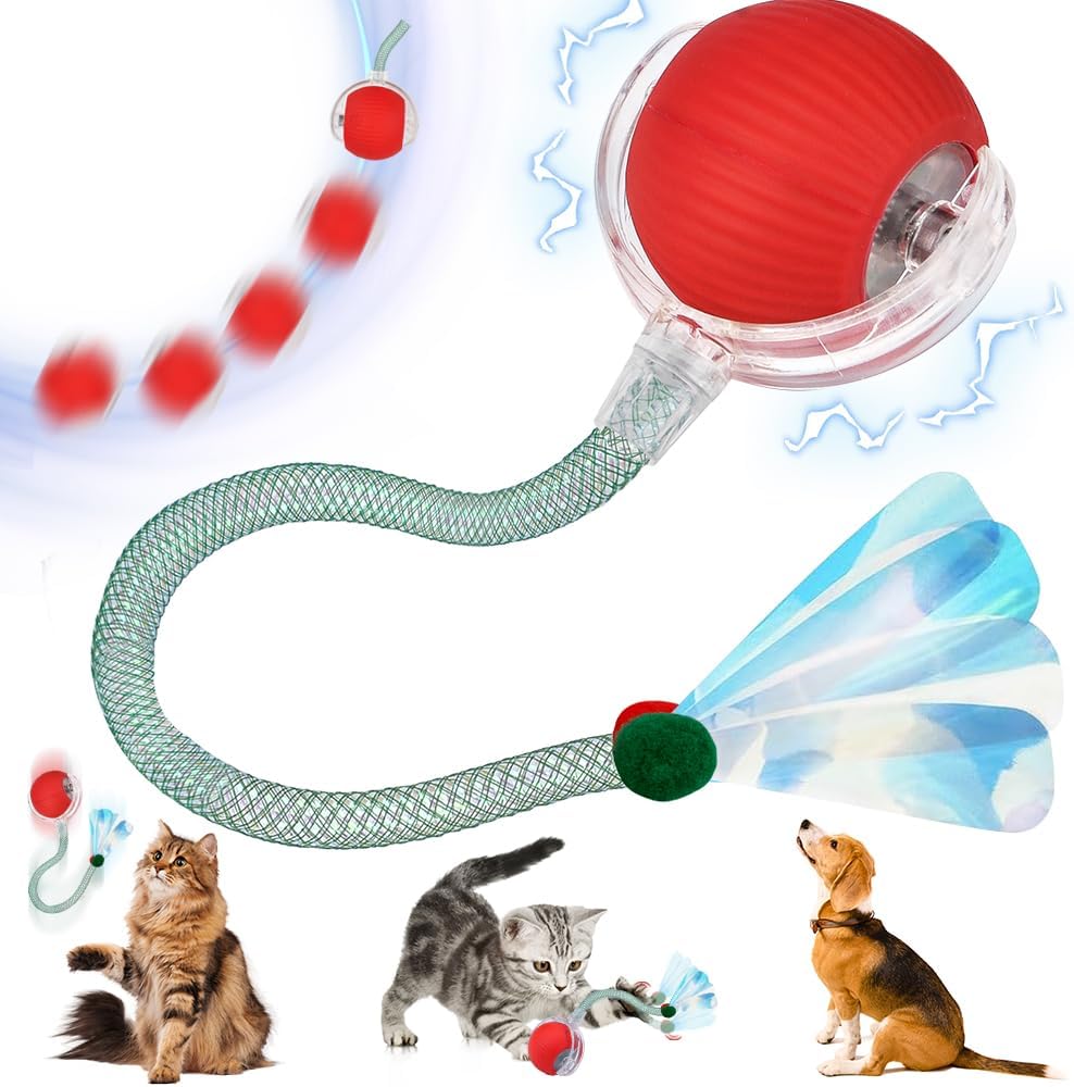 Balle Roulante Automatique pour Animaux