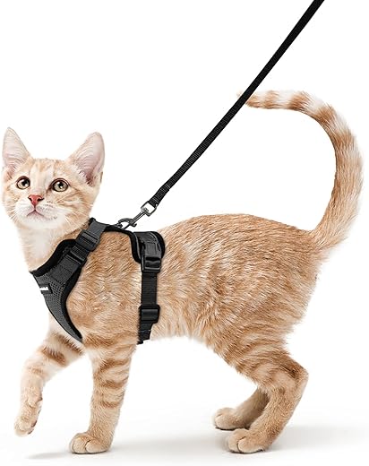 Harnais réglable pour chats et petits chiens