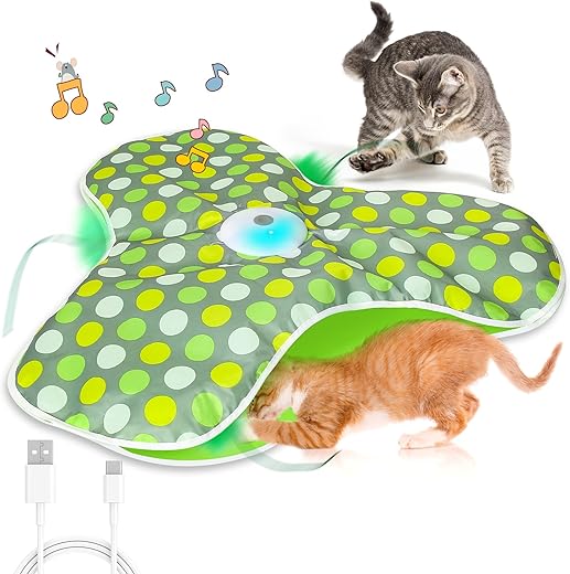 Jeux de Cache-Cache avec Plumes pour Chats