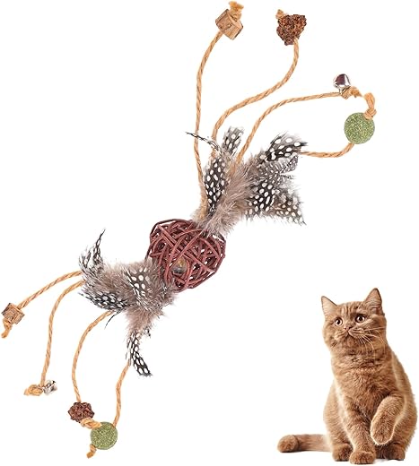 Jouet en Plumes et Herbe à Chat
