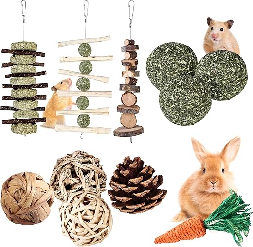 Jouets à Mâcher pour Petits Animaux