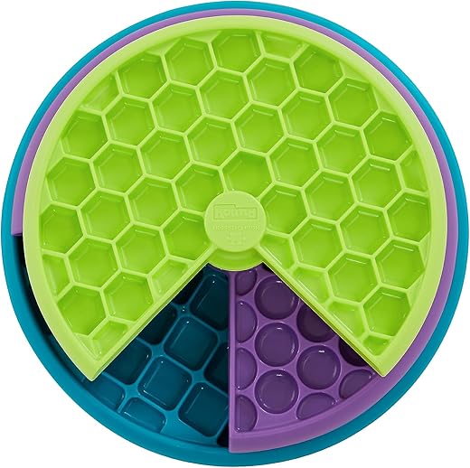 Puzzle interactif pour chien