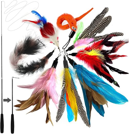 Canne à pêche avec plumes pour chats
