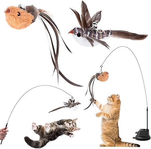 Ensemble de jouets interactifs pour chat
