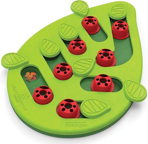 Jeu d'Intelligence Buggin Out