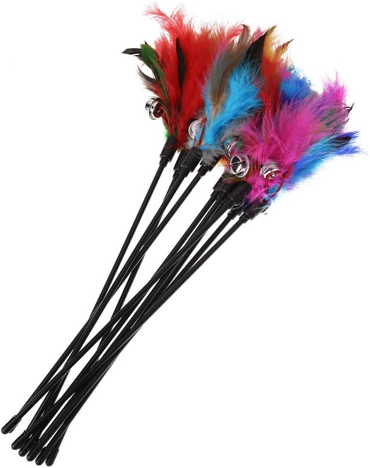 Jouet Interactif en Plumes Colorées