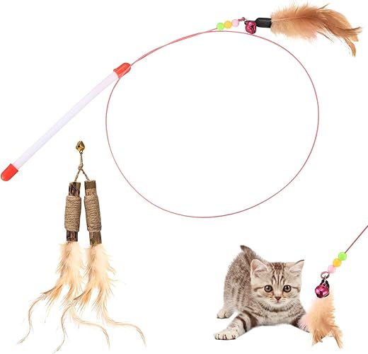 Canne à plumes 90 cm interactive